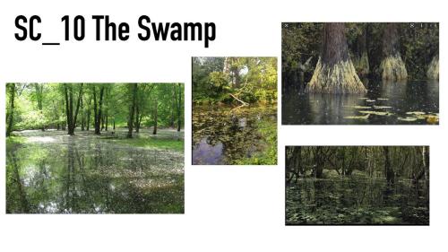 swamp